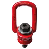 Delta Wartel oogbout | grade 80 volgens EN 1677 | 4 ton | M24x80 mm - YE.8.033.24-080 YE.8.033.24-080