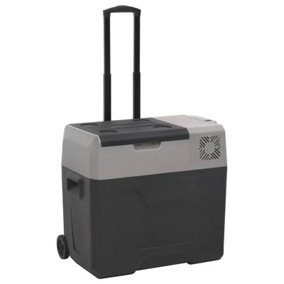 Koelbox met wielen en handvat 30 L polypropeen zwart en grijs