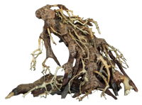 Superfish Bonsai Root Small - Levensecht Decoratief Kunststuk voor Aquarium/Terrarium