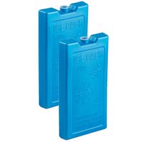 2x stuks 500 grams koelelementen 20 x 10.5 cm kobalt blauw