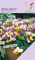 Crocus Specie Mixed 35 bollen