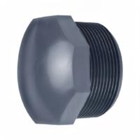 Effast PVC Stop Buitendraad 3 Inch - Betrouwbare Afsluiting voor Leidingsystemen