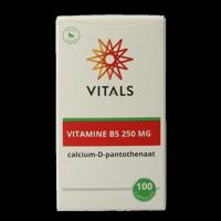 Vitamine B5 250mg 100 Capsules