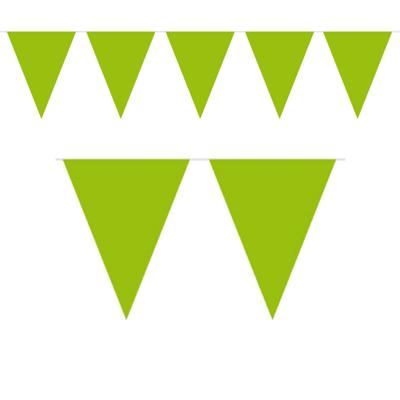 1x Mini vlaggenlijn / slinger lime groen 300 cm