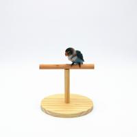 Creatieve houten papegaai vogel Frosted stand speelgoed grootte: Large (logs)