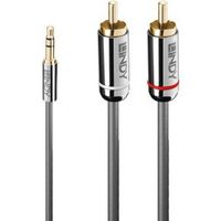 Lindy 35336 audio kabel 5 m 3.5mm 2 x RCA Antraciet