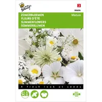 Zomerbloemen Witte Tinten