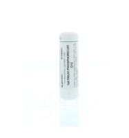 Natrium phosphoricum D12