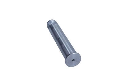 Askegel, aslichaam 331111