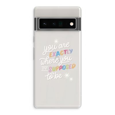 Right Place: Google Pixel 6 Pro Transparant Hoesje