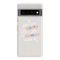 Right Place: Google Pixel 6 Pro Transparant Hoesje