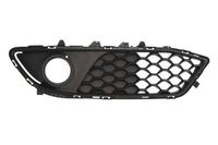 Ventilatiegrille, bumper 6502070106917P