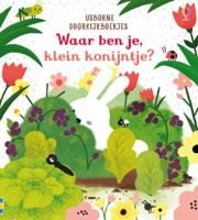 Waar ben je, klein konijntje? (Kartonboek)