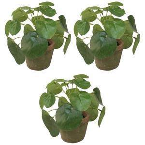 Kunstplant pilea/pannekoekplant - 3x - mini - groen - in pot - 13 cm