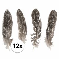 12x Fazanten veren