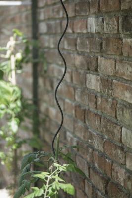 Royal Well plantspiralen (set 4 stuks) - zwart