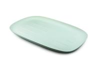 Bagastro cateringschaal 550 x 360 x h25 mm krimp à 5 stuks