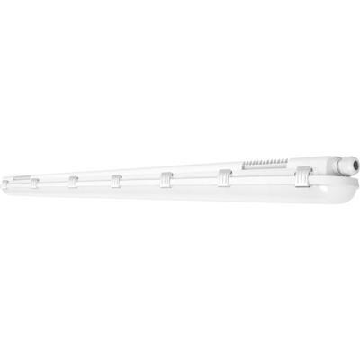 LEDVANCE Lamp voor vochtige ruimte LED Koudwit