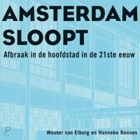 Amsterdam sloopt (Paperback)