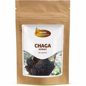 Chaga-extract | 300 mg | Vitaminesperpost.nl