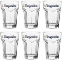Hoegaarden Bierglazen Witbier - 250 ml - 6 stuks