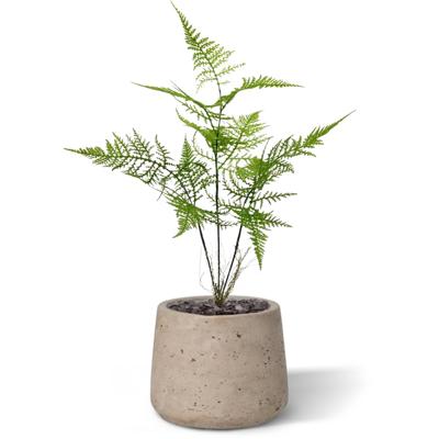 Asparagus kunstboeket 40 cm