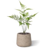 Asparagus kunstboeket 40 cm