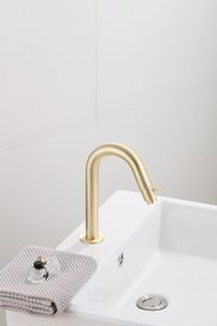 Fonteinkraan SaniClear Brass | Opbouw | Koudwater kraan | Standaard model | Rond | Goud