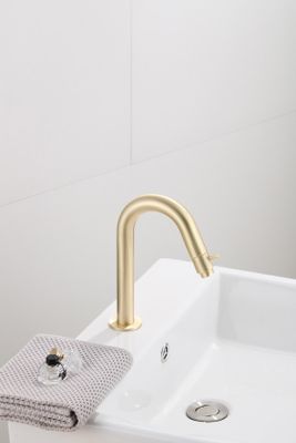 Fonteinkraan SaniClear Brass | Opbouw | Koudwater kraan | Standaard model | 1-knop | Rond | Geborsteld messing - mat goud