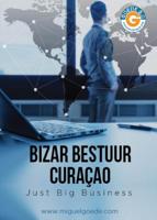 Bizar bestuur Curaçao (Paperback)
