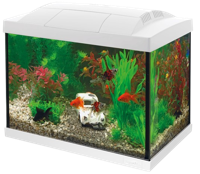 Superfish Start 20 aquarium wit