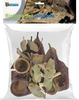 Biotope set amazon Superfish - Superfish