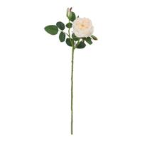 Kunst Rozentak Austin 52cm Creme