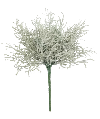 Santolina lvs plant grey 25cm - Nova nature
