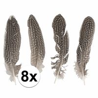 8x Decoratie veren van een fazant - thumbnail