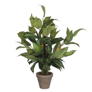 Mica Decorations Hosta Kunstplant - H65 x Ø40 cm - Groen