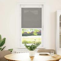 VidaXL Plissé rolgordijn 60x100 cm stofbreedte 59,4 cm antraciet