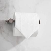 Toiletrolhouder Aquasplash Academy Gunmetal Boss & Wessing Toiletrolhouder Aquasplash Academy Gunmetal Boss & Wessing