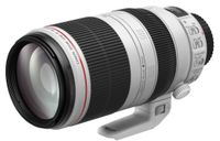Canon EF 100-400mm F/4.5-5.6 L IS USM II (draaizoom) + ET-83D zonnekap - thumbnail