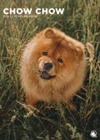 Chow Chow A3 Kalender 2026