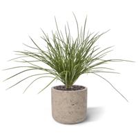 Kunst Grasplant Wide 40cm - groen