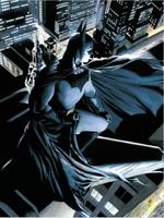 DC Comics: Batman Vigilante 30 X 40 Cm Glass Poster