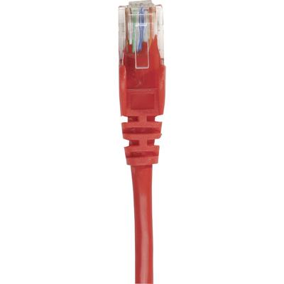 Intellinet 319065 RJ45 Netwerkkabel, patchkabel CAT 6A S/FTP 1.00 m Rood Afgeschermd (enkel), Afscherming totaal, Halogeenvrij 1 stuk(s)