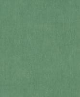 Dutch Tahiti - Kapia groen - 13313