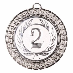 Zilveren kampioensmedailles 2