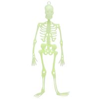 Halloween/horror thema hang decoraties - 1x stuks - skeletten - glow in the dark - 30 cm