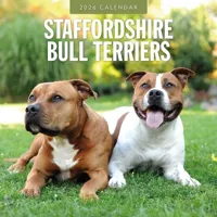 Staffordshire Bull Terrier Kalender 2026