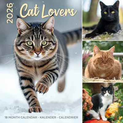 Cat Lovers Kalender 2026