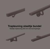 Trapleuning staaltjes bundel gun metal - per stuk