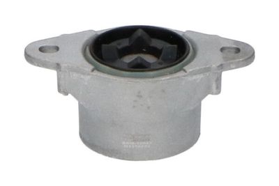 Veerpoot SSM10043